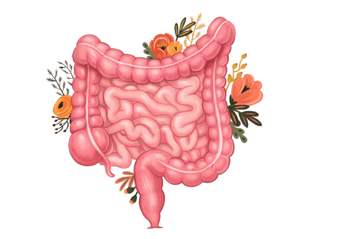 Consultation de suivi :                                           digestion et maladies intestinales