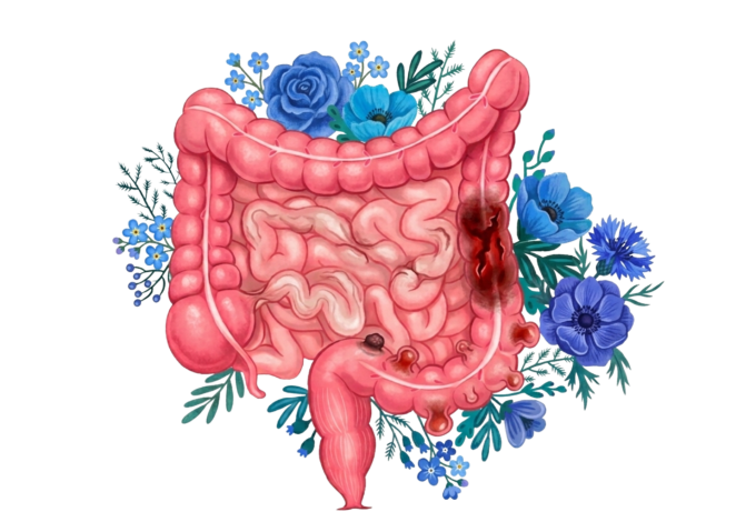 Première consultation :                                           digestion et maladies intestinales